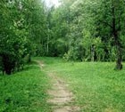 В Ставрополе создадут лесопарк