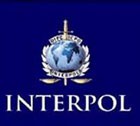 Международная полиция - в Ставрополе