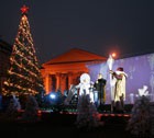 В центре Ставрополя  установили новогоднюю ёлку