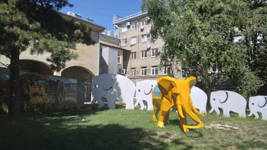 Форумчане отправились в познавательный тур «Ставрополье – родина слонов» вместе с музеем-заповедником