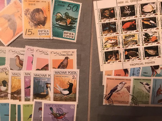 Уцелевшие почтовые марки  из коллекции автора