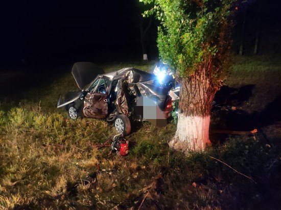 Автомобиль ночных автогонщиков врезался в дерево. УГИБДД ГУ МВД России по Ставропольскому краю
