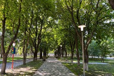 Обновленный парк в станице Ессентукской. Администрация Предгорного округа Ставропольского края