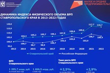 Инфографика минэкономразвития Ставропольского края 