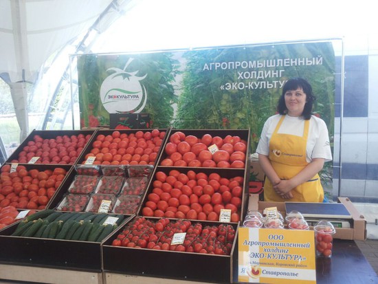 Экологически чистые овощи  Ставрополья  — к столу москвичей