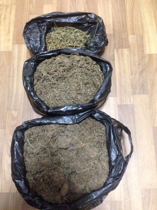 У жителя Ставрополья полицейские изъяли 3 кг марихуаны. Фото ГУ МВД России по СК.