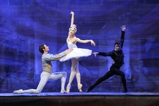 «Лебединое озеро» в исполнении артистов Имперского русского балета.