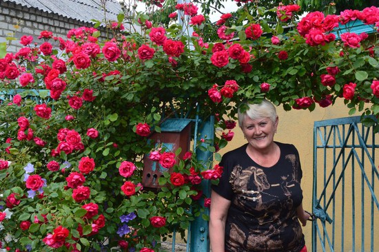 Хозяйка дома № 42 по пр. Невельскому Лидия Герасимова в цветущем обрамлении.