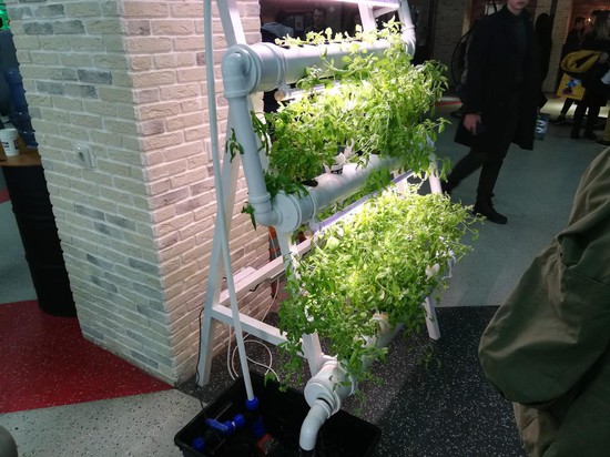Вертикальная ферма - одна из технологий, представленных на фестивале.