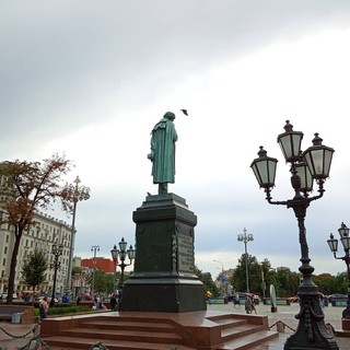 У голубей на Пушкинской площади в Москве Пушкин тоже "свой".