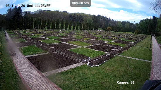 Стоп-кадр с онлайн камеры, расположенной в Долине роз Кисловодского парка. 