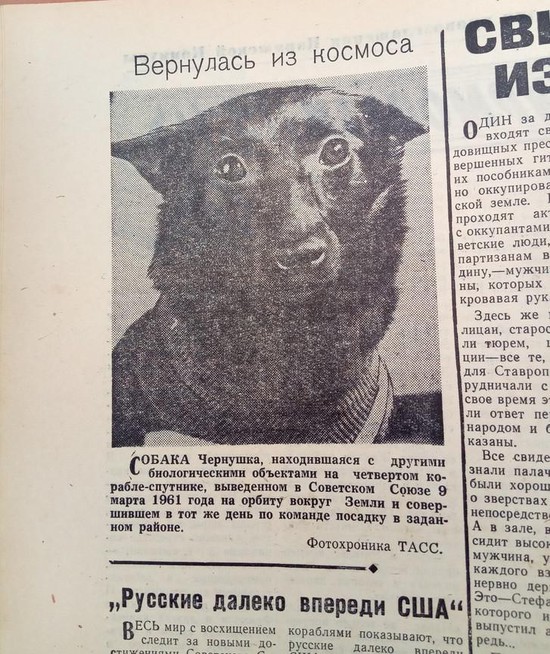  Сообщение в краевой газете «Молодой ленинец» 18 марта 1961 года.