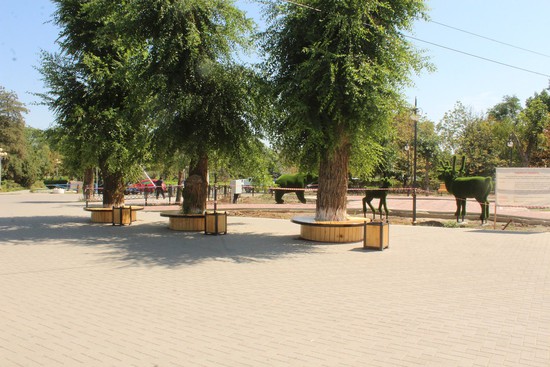 Ипатово, Ставрополье, 2021. Фото администрации Ипатовского округа.