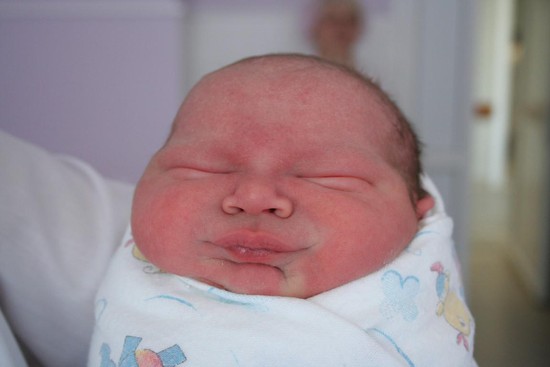 Новорожденный. Фото из архива 