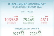 Статистика. Фото из инстаграм Владимира Владимирова