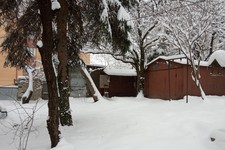 Зима. Фото Александра Плотникова