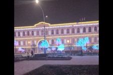 Подсветка на здании музея и светящиеся деревья. Ольга Богатеева