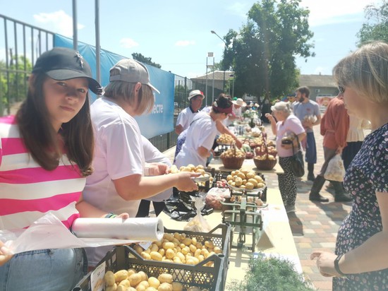 Фестиваль молодого картофеля. Администрация Грачевского округа Ставрополья
