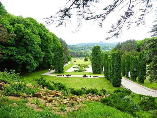 Долина роз в Кисловодске. Фото администрации города-курорта