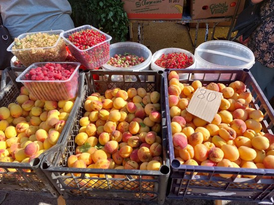 Фрукты, ягоды. Фото администрации Ставрополя