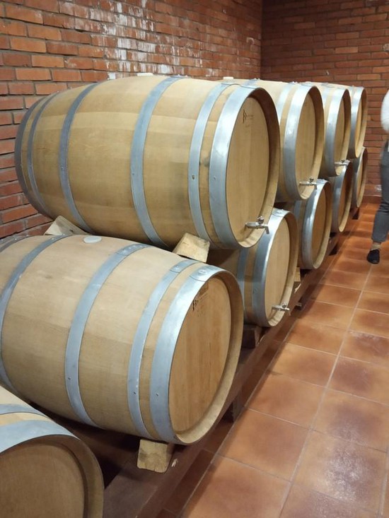 Производство игристых и шампанских вин растет на Ставрополье
