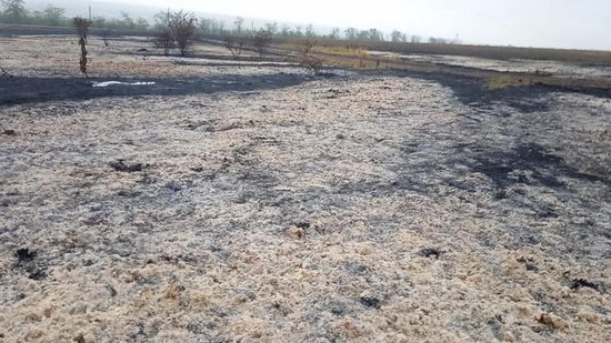 Огонь нанес вред плодородным почвам на Ставрополье