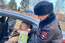 На Ставрополье напомнят правила безопасности при перевозке детей. Фото ГИБДД СК