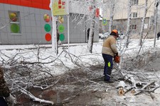 Распил упавших веток в Ставрополе. Пресс-служба администрации города