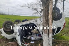 Автомобиль ударился о дерево. УГИБДД ГУ МВД России по Ставропольскому краю