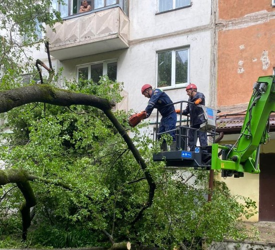 Распил деревьев. Фото из Телеграм-канала главы города Ставрополя Ивана Ульянченко