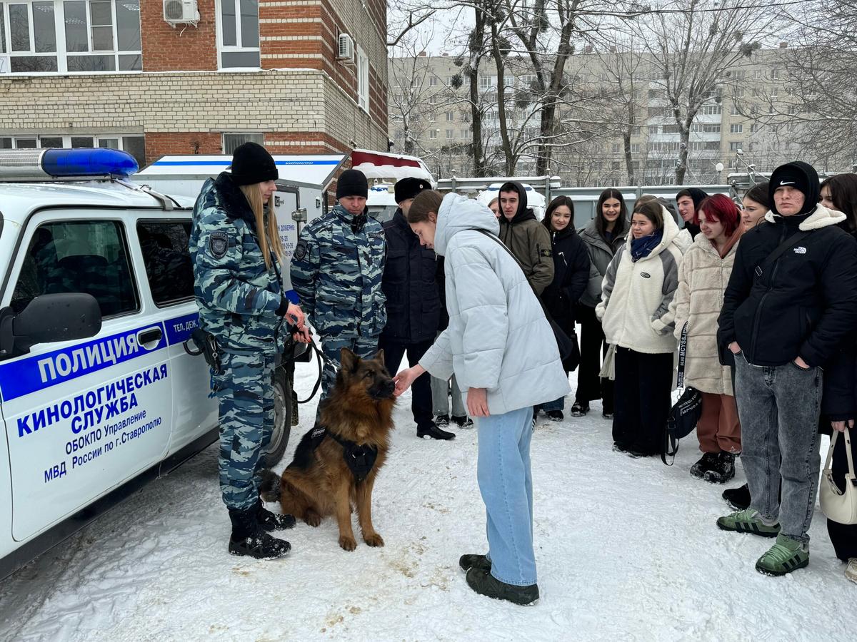 В Ставрополе участники «Студенческого десанта» встретились с кинологами полиции