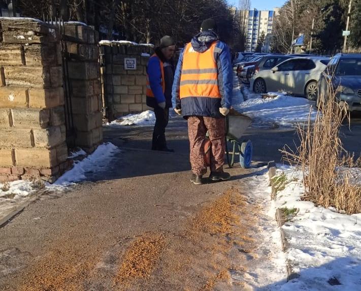 В Ставрополе коммунальщики обрабатывают тротуары