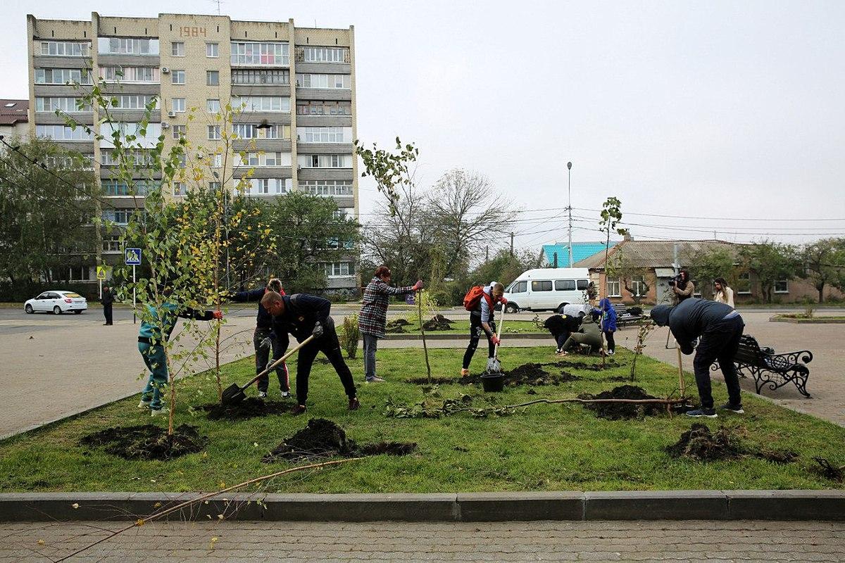 В этом году в Ставрополе запланирована посадка более 5 тысяч молодых деревьев