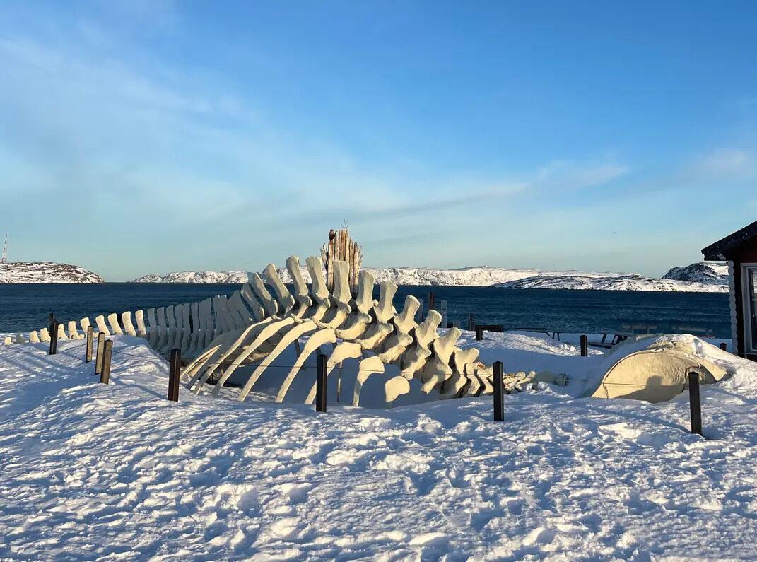 Териберка: погружение в Русский Север