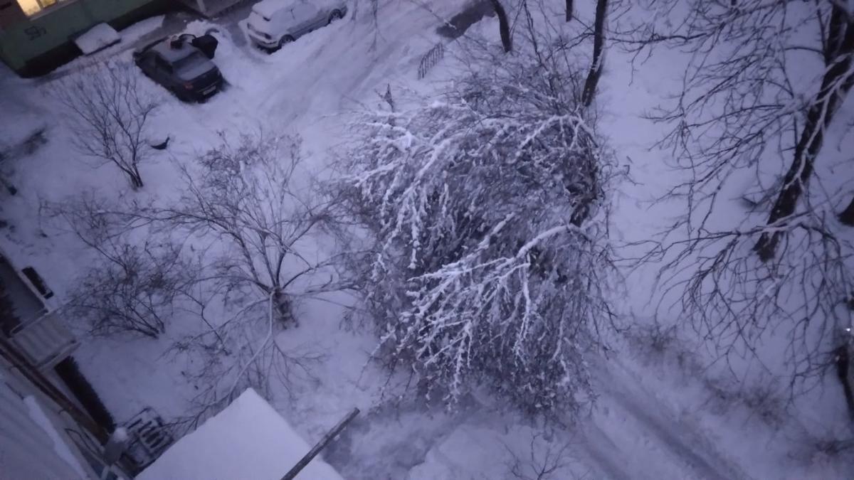 Дачники Ставрополя и КМВ страдали от частого отключения электричества при ветре