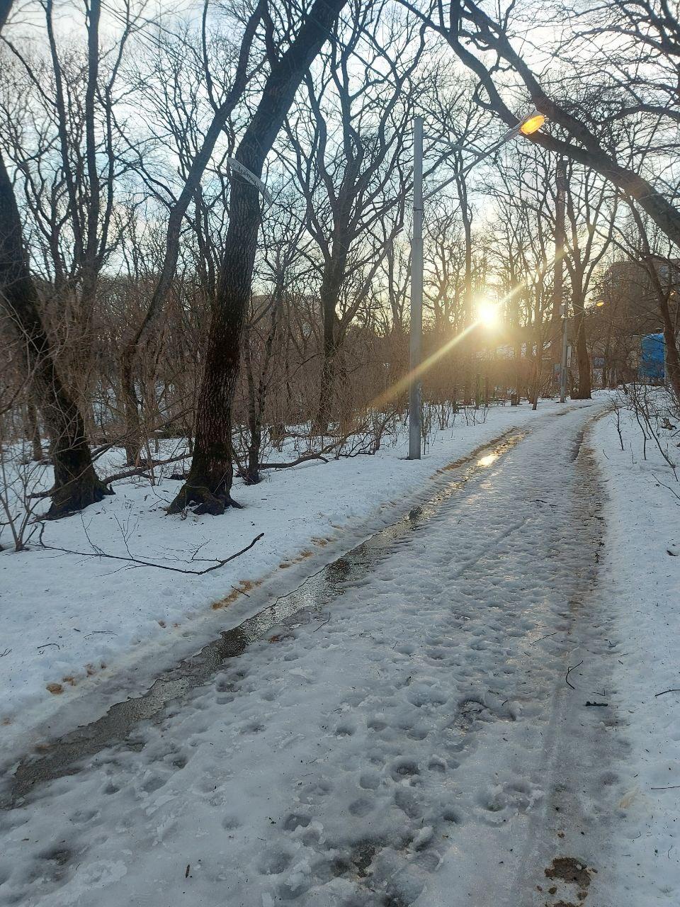 Во вторые выходные февраля в Ставропольском крае потеплеет до + 20