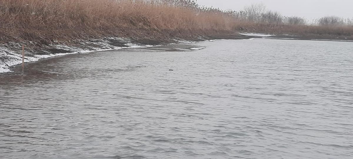 В селе Родыки водоём-накопитель избавят от иловых отложений и построят второй