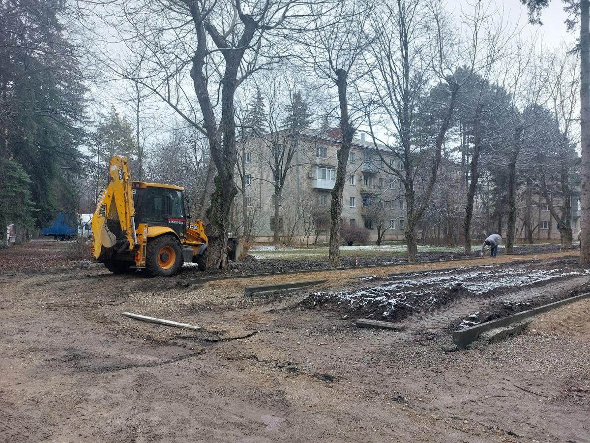 В Самшитовом сквере в Ессентуках повредили деревья