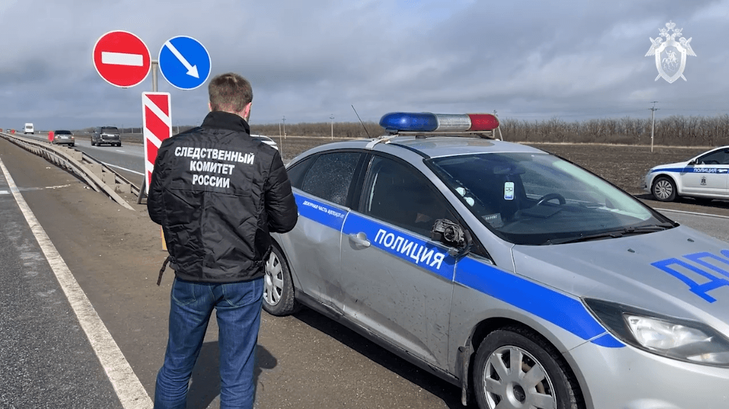 Взят под стражу сбивший насмерть полицейского в Андроповском округе водитель