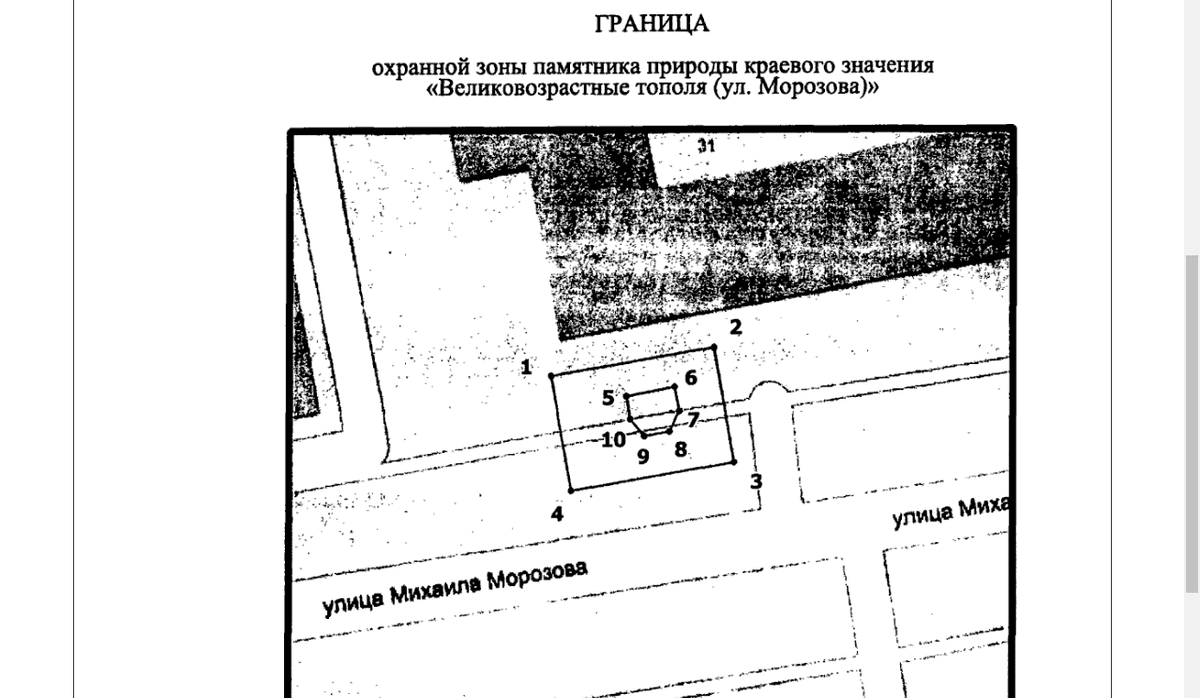 Тополя в Ставрополе признали памятником природы