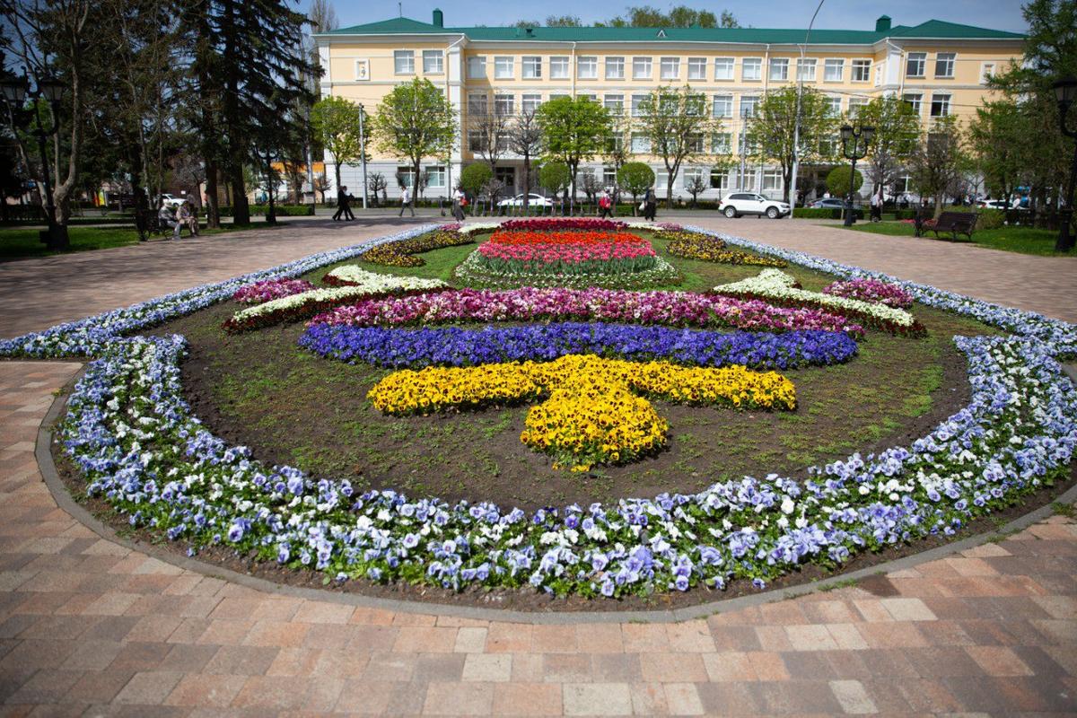 Цветущие символы Победы появились в Ставрополе