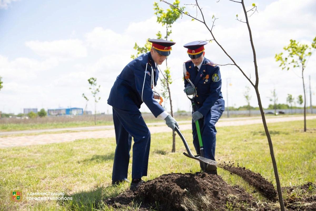 В Ставрополе высадили деревья в рамках акции «Сад Памяти»