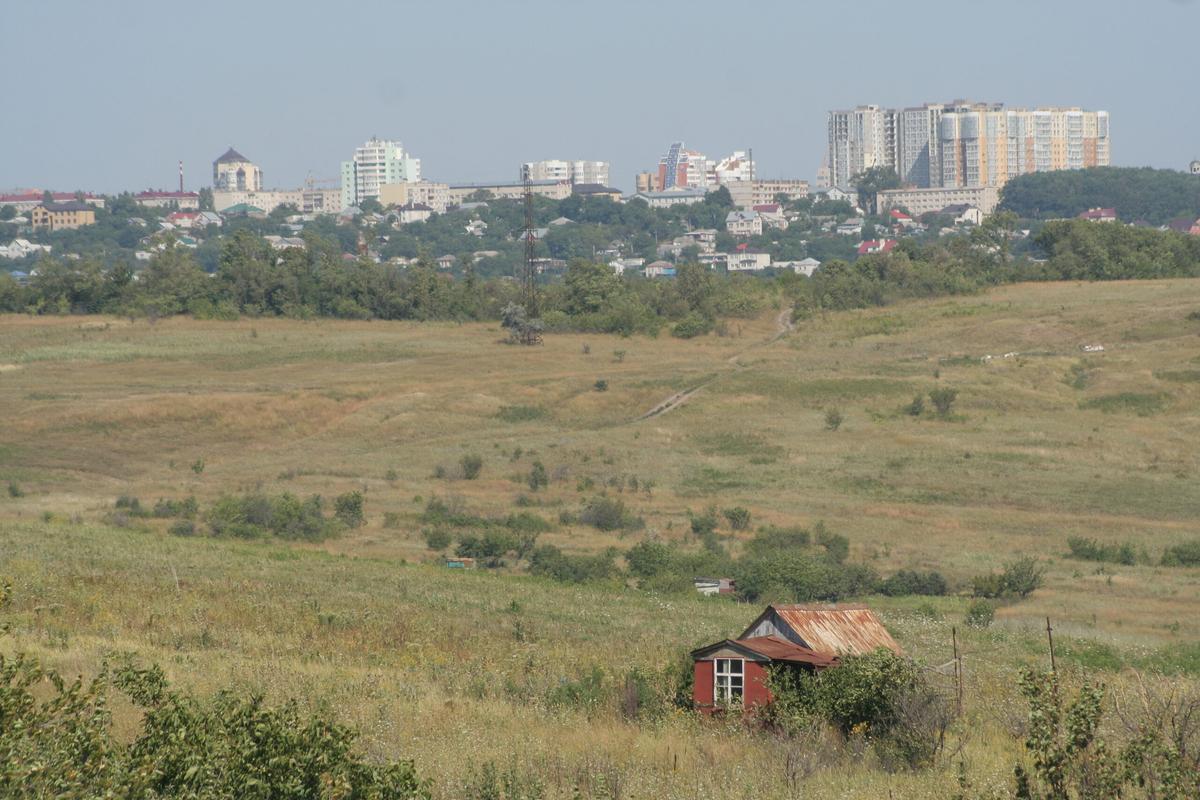 В Изобильненском округе уничтожили несколько десятков кустов наркосодержащего растения