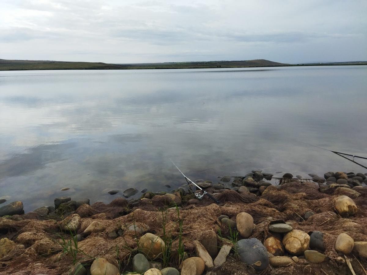 Загадочный проект из Ставрополья вошел в каталог культурных брендов страны