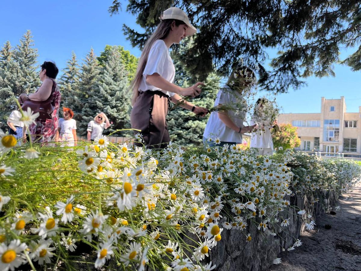 Настоящий праздник здоровья устроят в Предгорье в День семьи, любви и верности