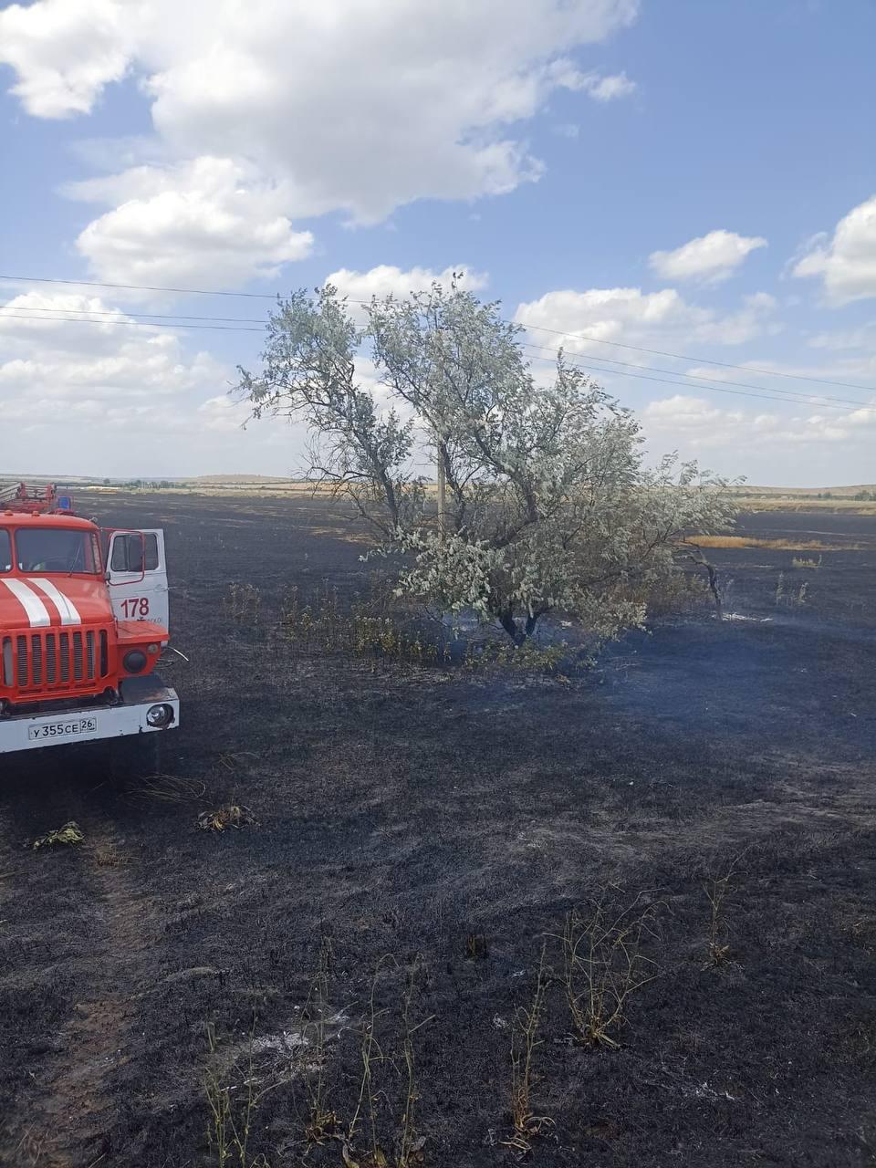 В Ипатовском и Шпаковском округе ликвидировали возгорание пшеницы на полях