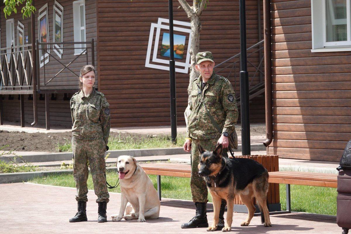 Белгородских детей в невинномысской «Гренаде» посетили кинологи