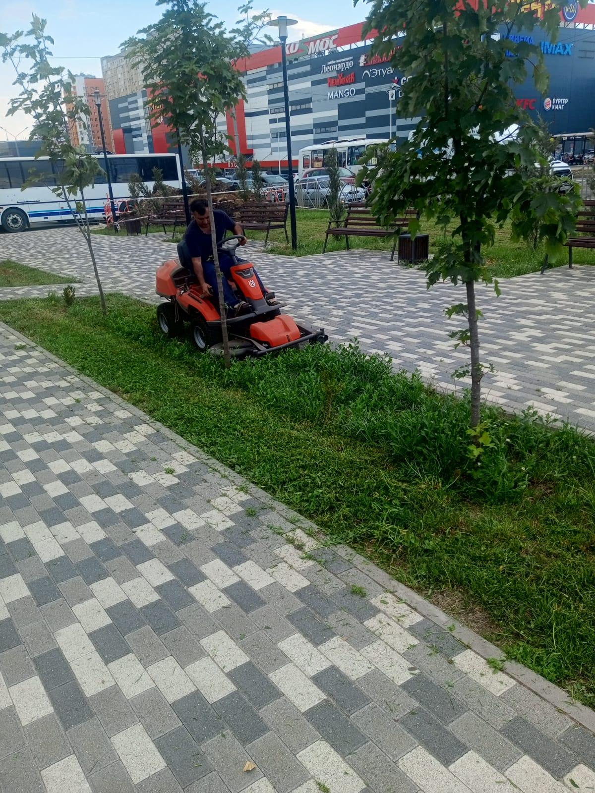 Площадь покоса травы в Ставрополе более четырех миллионов квадратных метров  | Новости | Вечерний Ставрополь