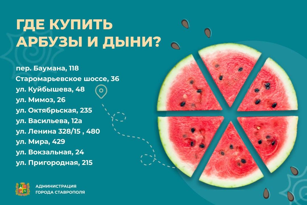 Сочные и спелые арбузы и дыни в Ставрополе можно купить на 11 торговых площадках