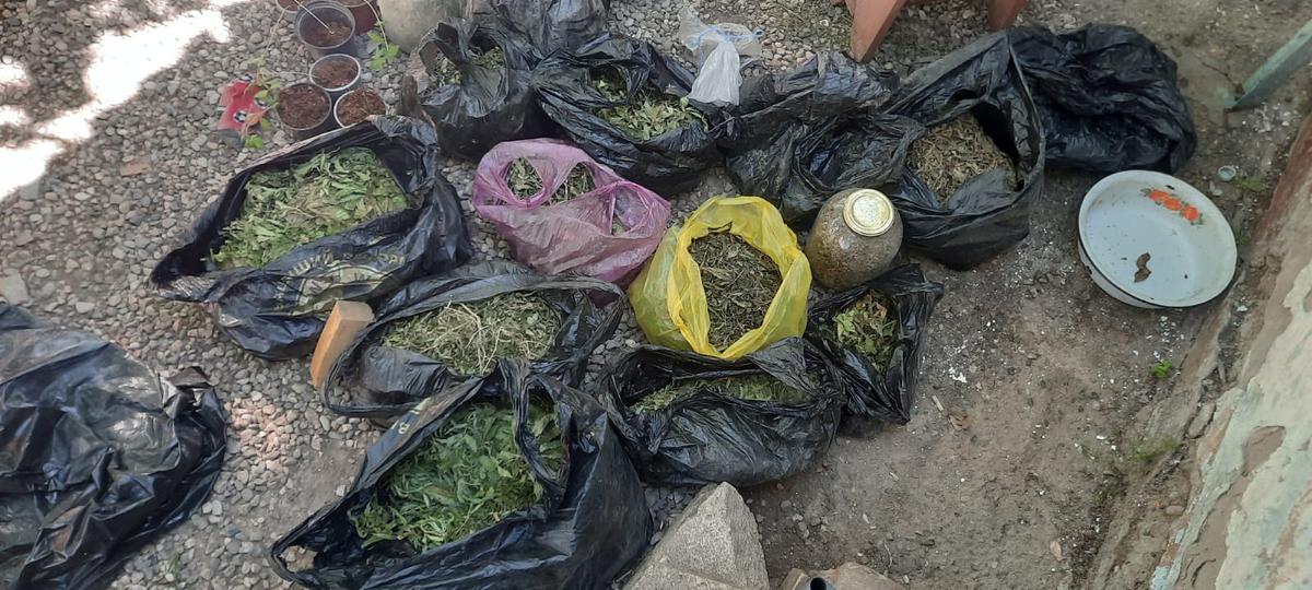 Почти 4,5 кг растительного наркотика хранил для себя житель Прасковеи